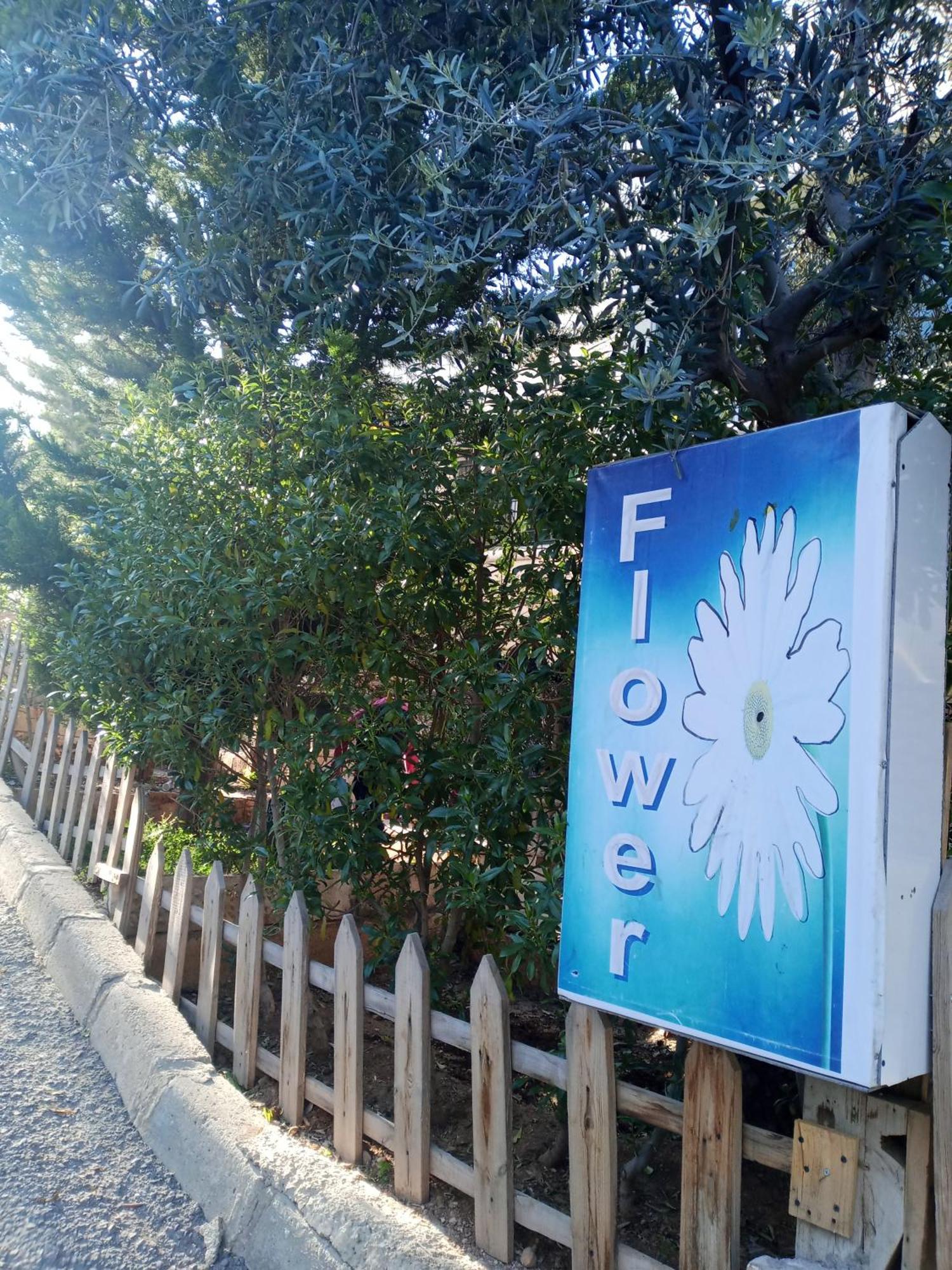Flower 2 Γέρασα Εξωτερικό φωτογραφία