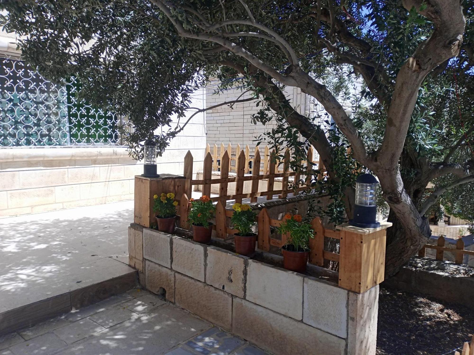 Flower 2 Γέρασα Εξωτερικό φωτογραφία